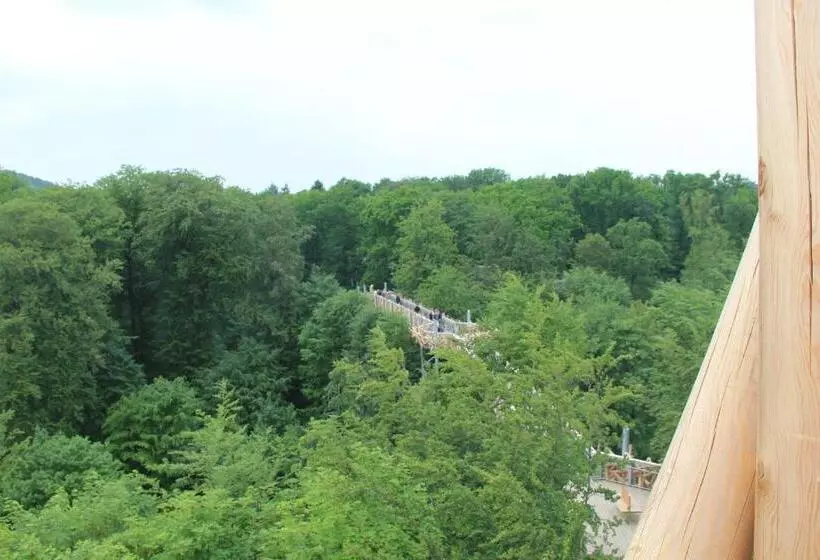 بنسيون Gasthaus Wiemann Sander