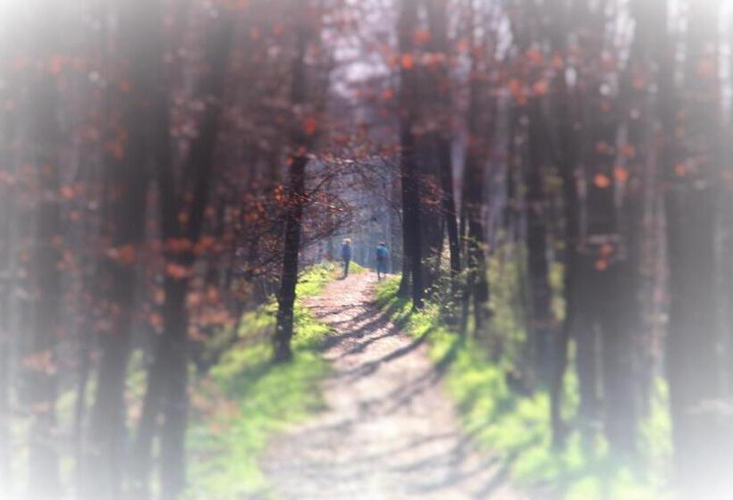 膳宿费 Gasthaus Wiemann Sander