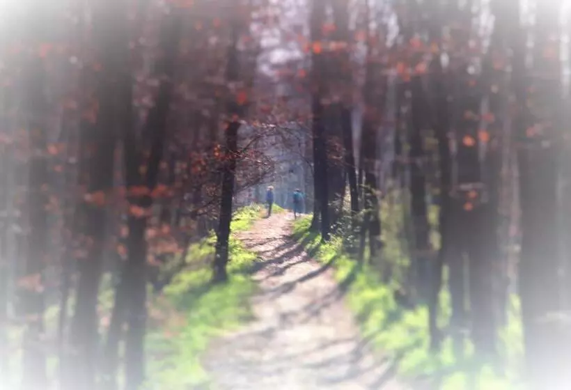 بنسيون Gasthaus Wiemann Sander