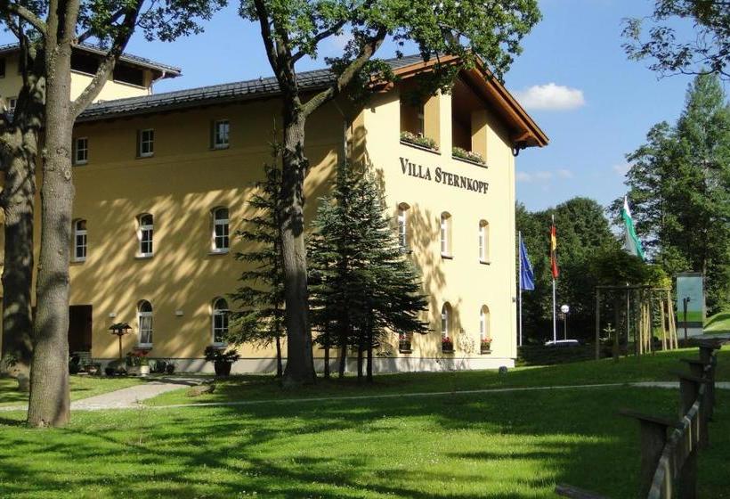 Villa Sternkopf Suiten Rittersgrün