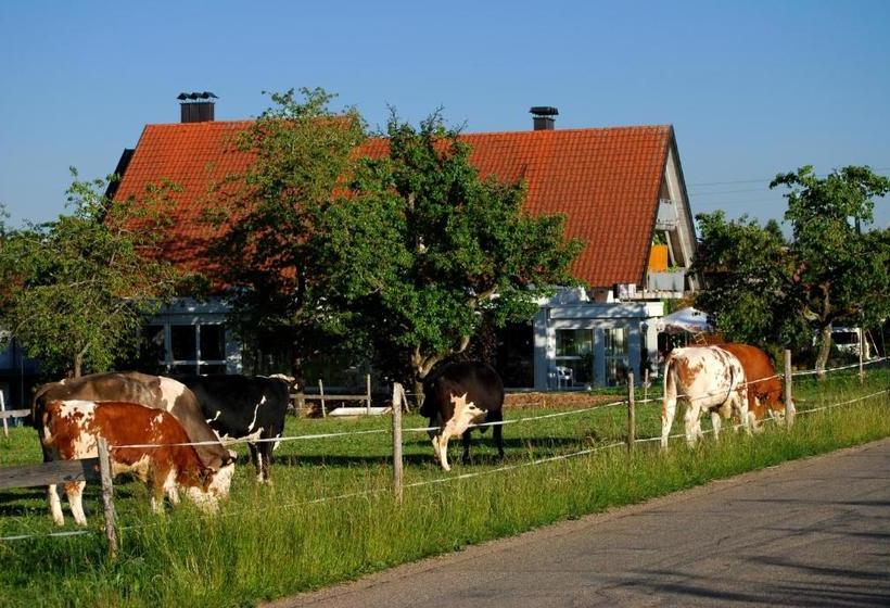 Отель Wellness Schiesselhof