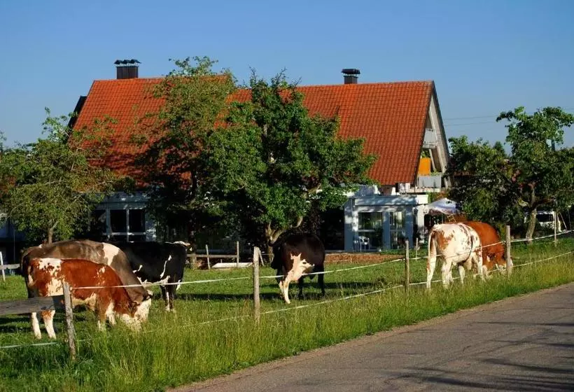 Отель Wellness Schiesselhof