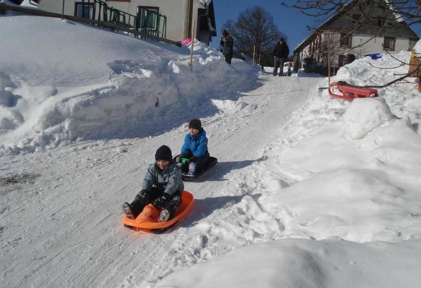 Отель Wellness Schiesselhof