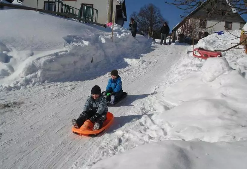 Отель Wellness Schiesselhof
