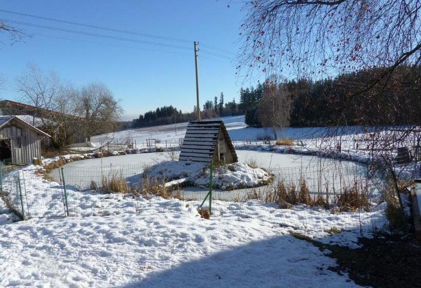 Отель Wellness Schiesselhof