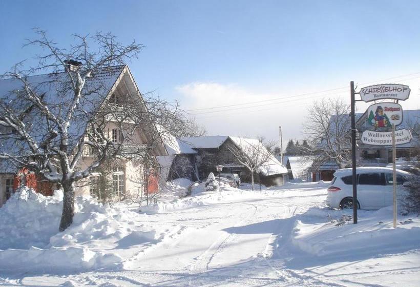 Отель Wellness Schiesselhof