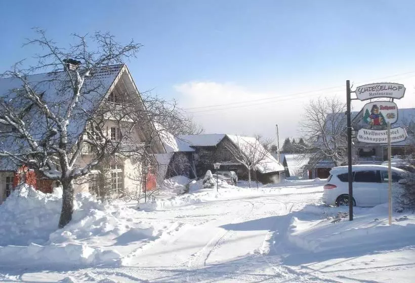 Отель Wellness Schiesselhof