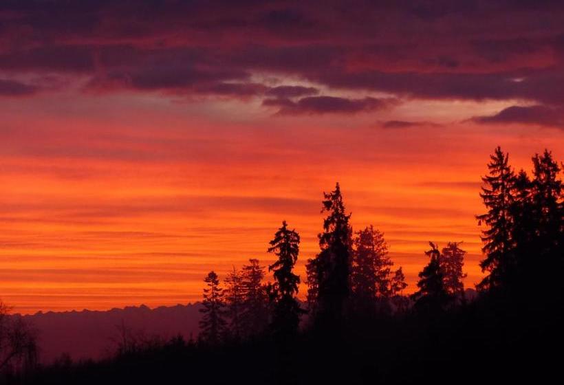 Отель Wellness Schiesselhof