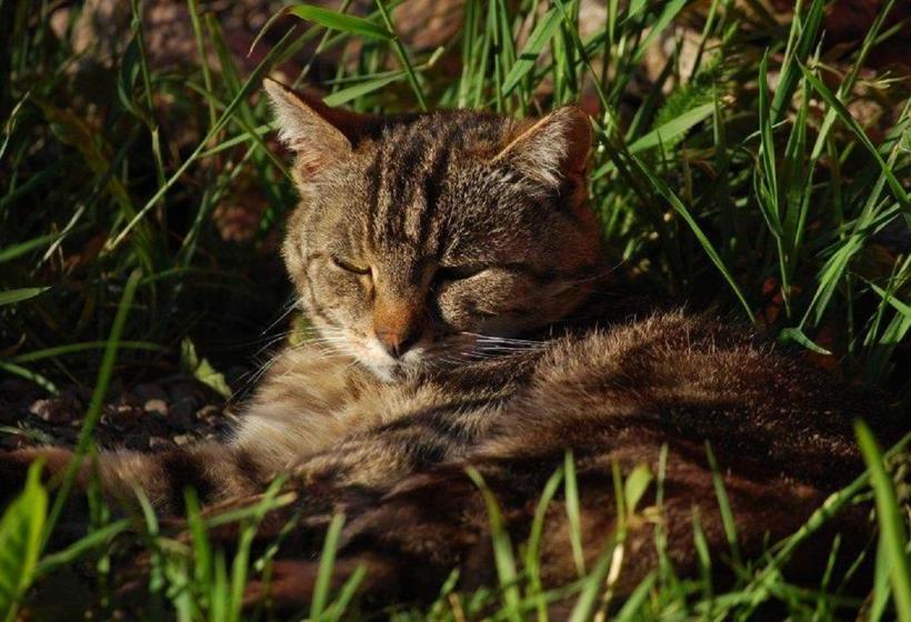 Отель Wellness Schiesselhof