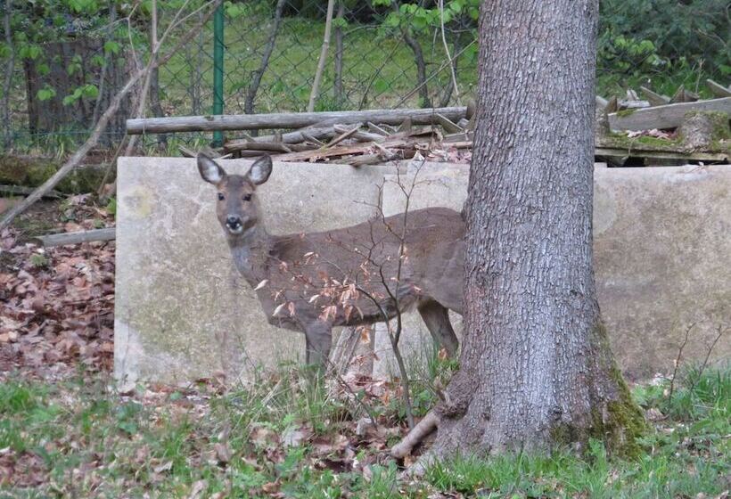 Habitación Doble Estándar Panorama Hotel Pension Frohnau