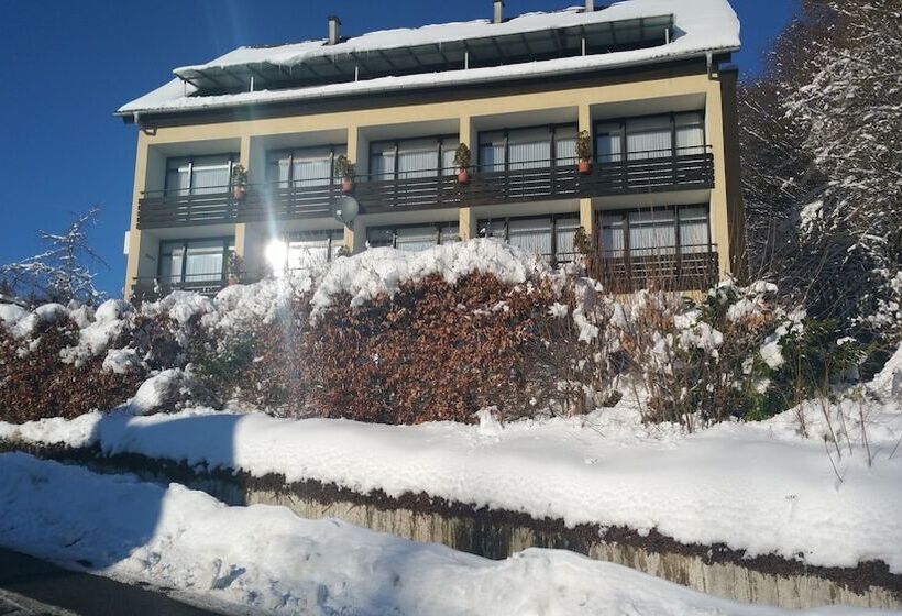 Habitación Doble Estándar Panorama Hotel Pension Frohnau