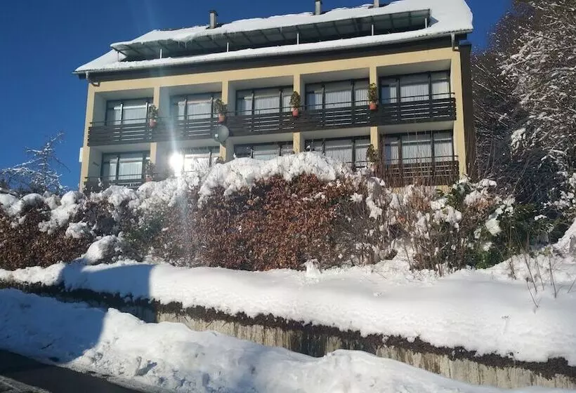 Habitación Doble Estándar   Panorama Hotel Pension Frohnau