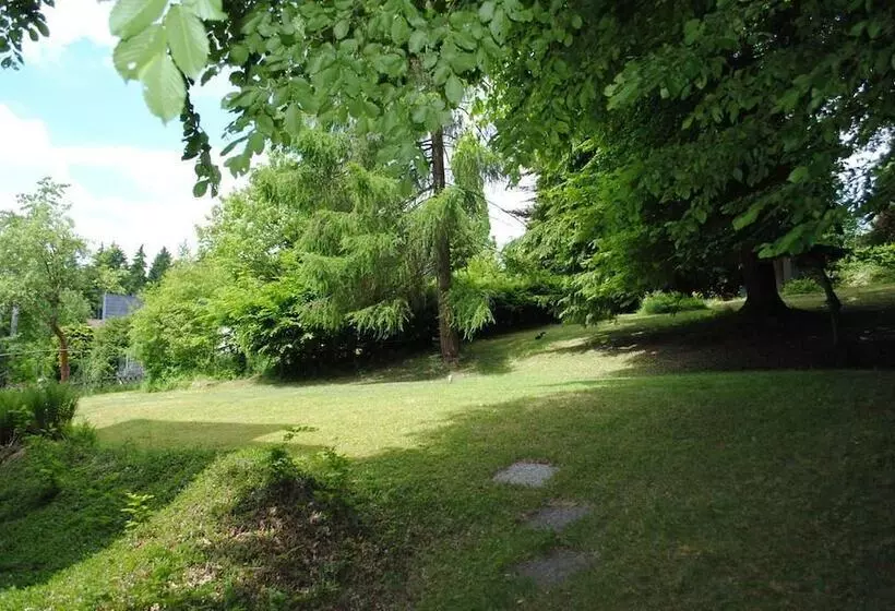 Habitación Doble Estándar   Panorama Hotel Pension Frohnau