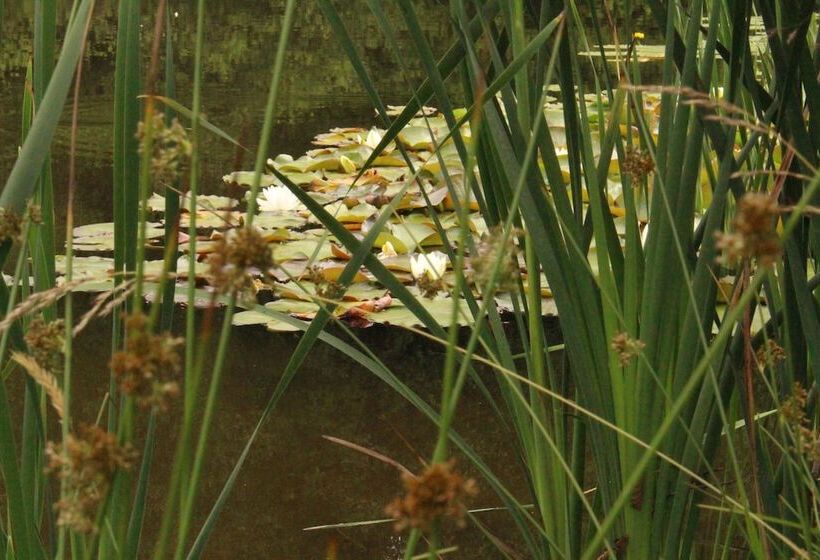 Garni Hotel Adler Post