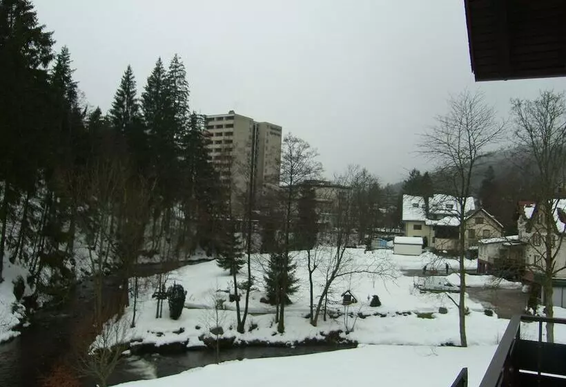 Garni Hotel Adler Post