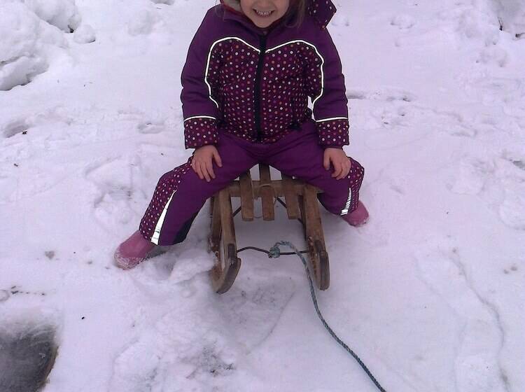 Garni Hotel Adler Post