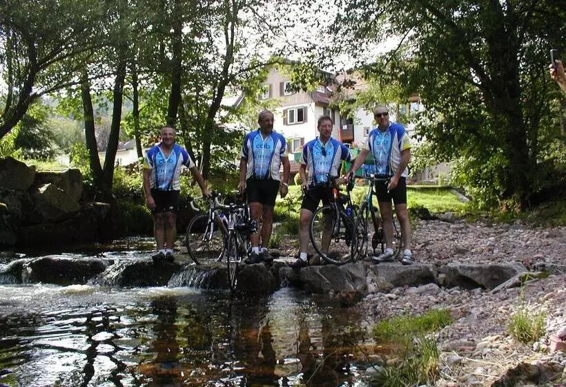 Garni Hotel Adler Post