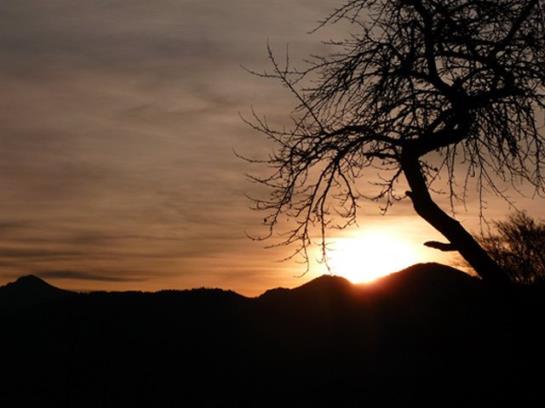 Ferienwohnungen Oberkollerhof, Familie Breitmoser