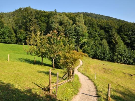 Ferienwohnungen Oberkollerhof, Familie Breitmoser