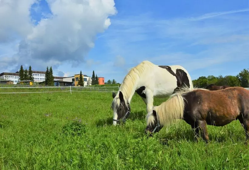 هتل Elldus Resort