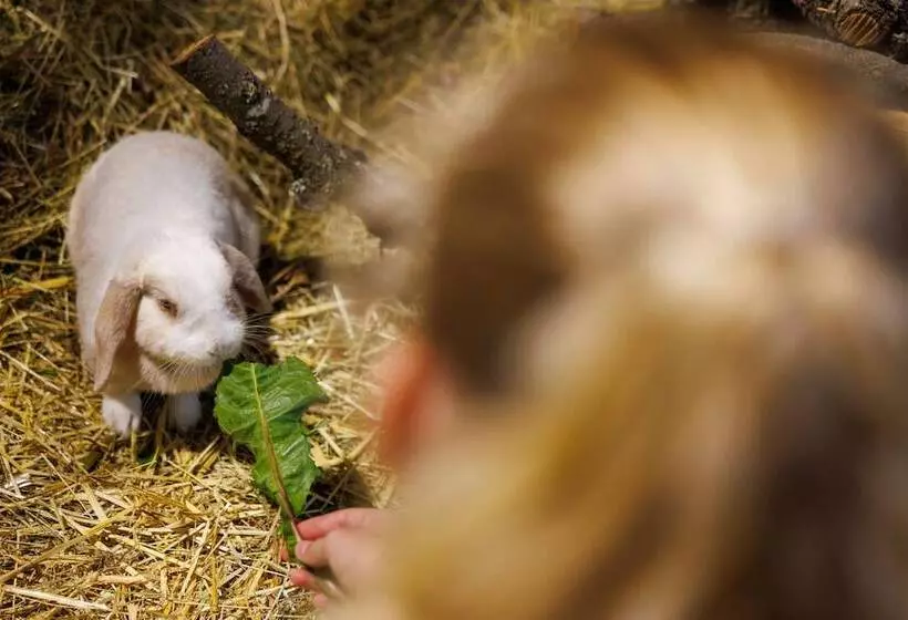 هتل Elldus Resort