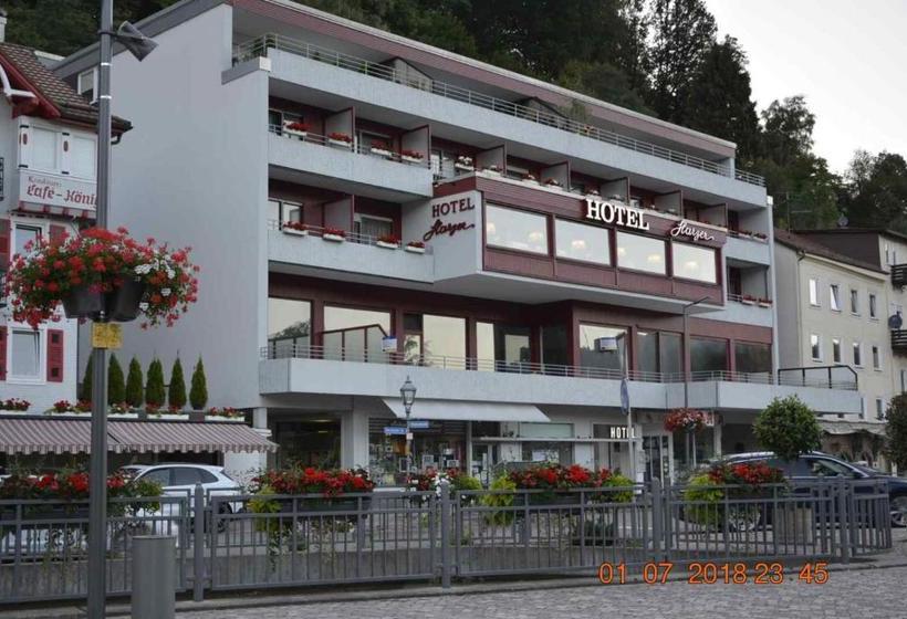 Otel Harzer Am Kurpark