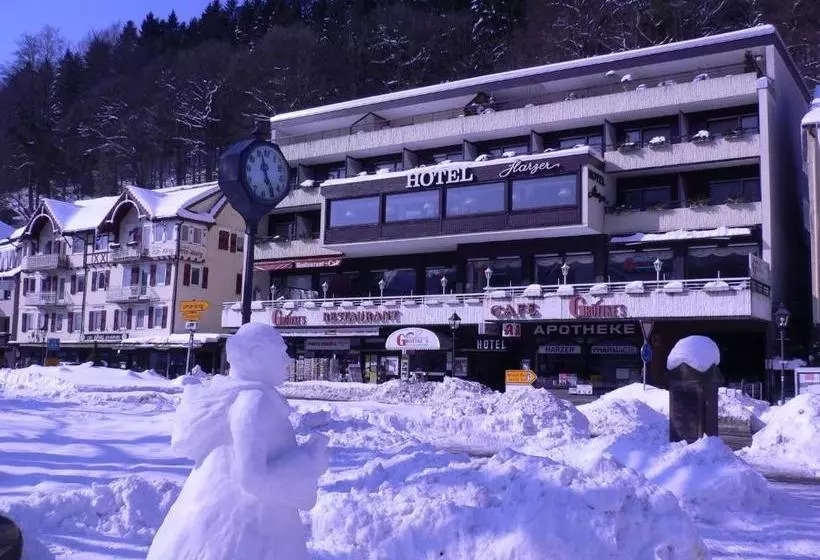 호텔 Harzer Am Kurpark