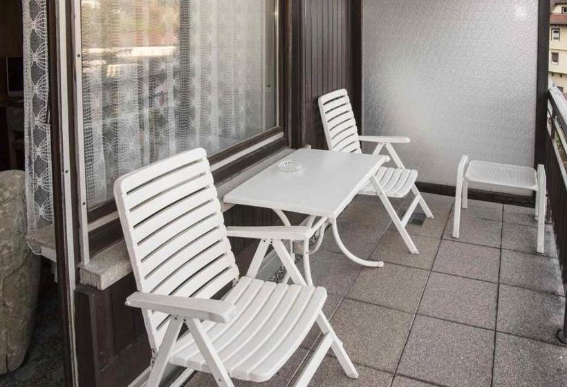 Otel Harzer Am Kurpark