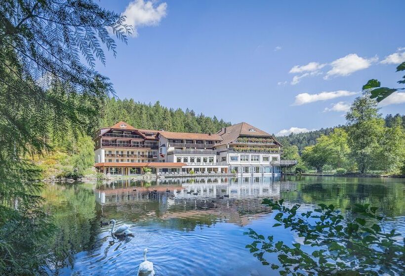 Отель Langenwaldsee