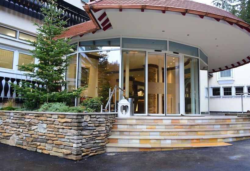 Отель Langenwaldsee