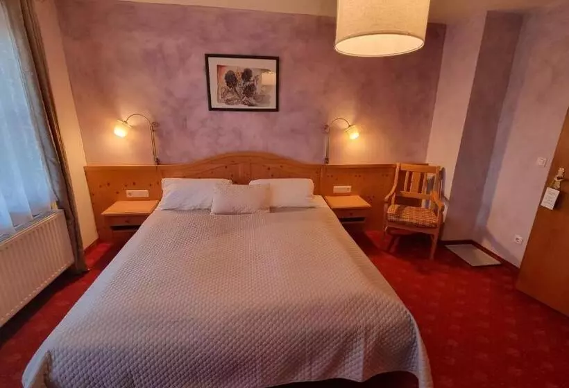 Отель Pension Geiger