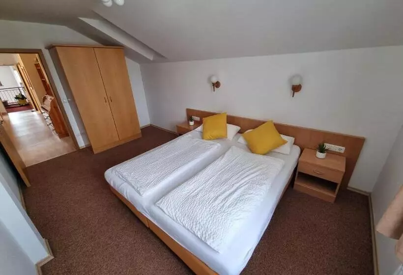 Отель Pension Geiger