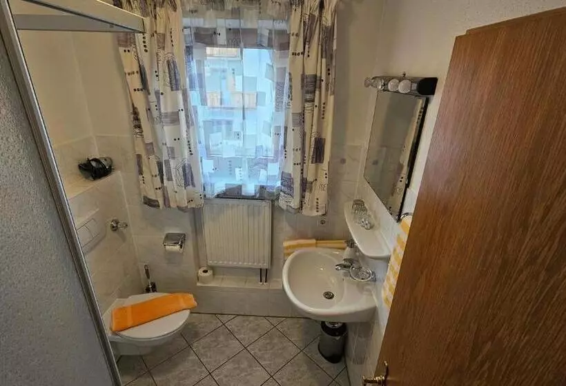 Отель Pension Geiger