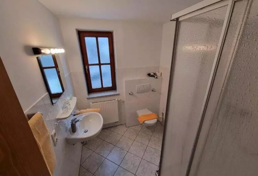 Отель Pension Geiger