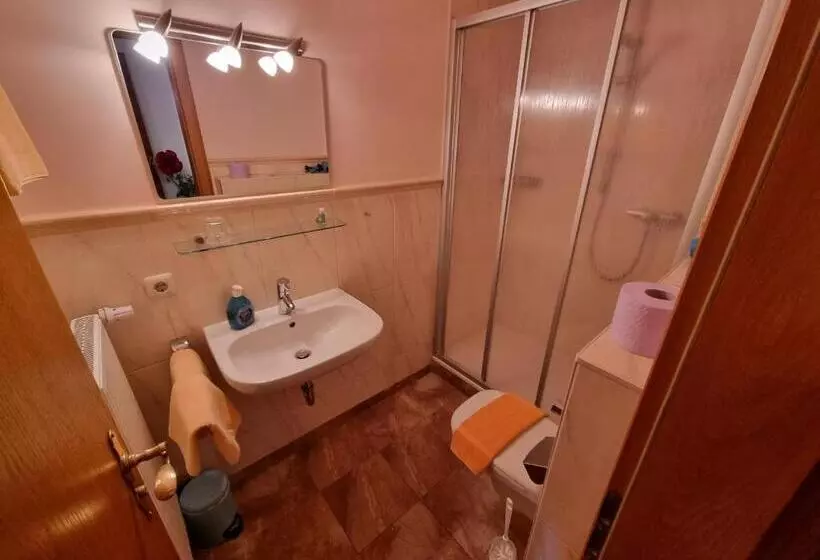 Отель Pension Geiger