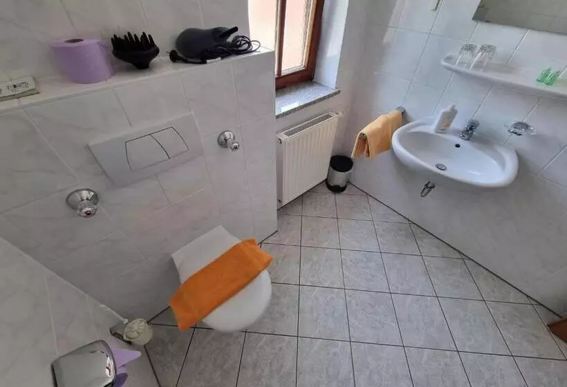 Отель Pension Geiger