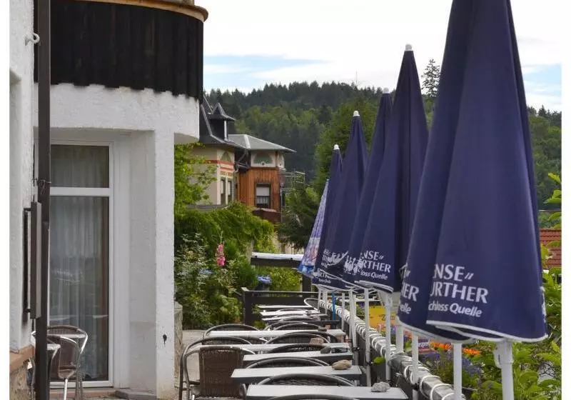 Отель Pension & Restaurant   Zum Harzer Jodlermeister