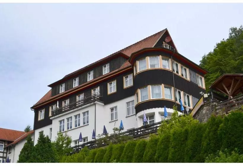 Отель Pension & Restaurant   Zum Harzer Jodlermeister