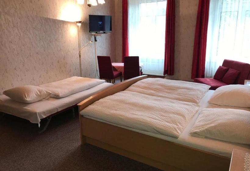 Rheinhotel Starkenburger Hof