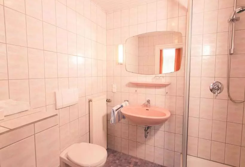 Rheinhotel Starkenburger Hof