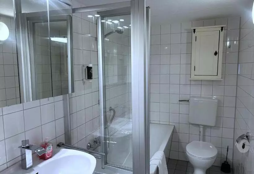 膳宿费 Brauereigasthof Zur Münz Seit 1586