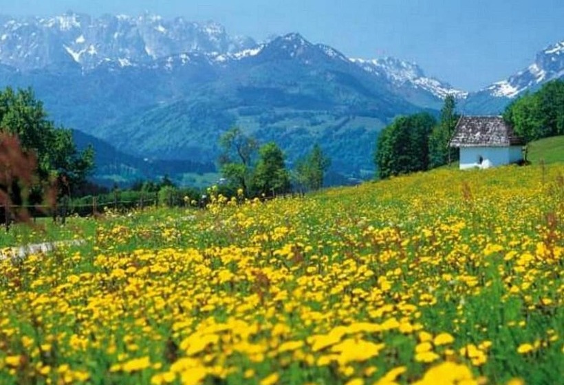 Pensionat Gastehaus Flora