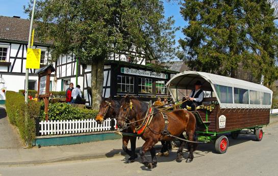 酒店 Ponyhof Knotte