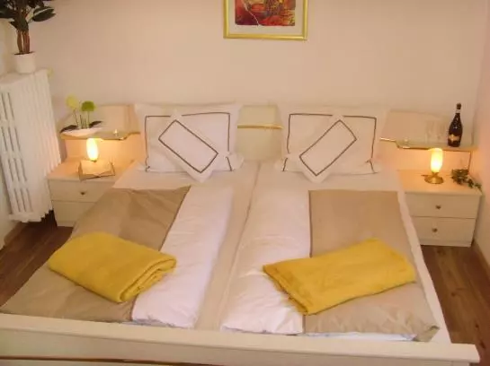 酒店 Birkenhaus Am Quell