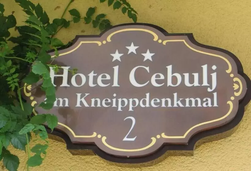 酒店 Cebulj