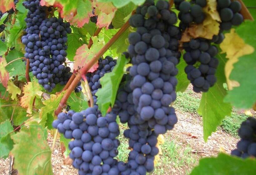 בית מלון כפרי Deutsches Haus