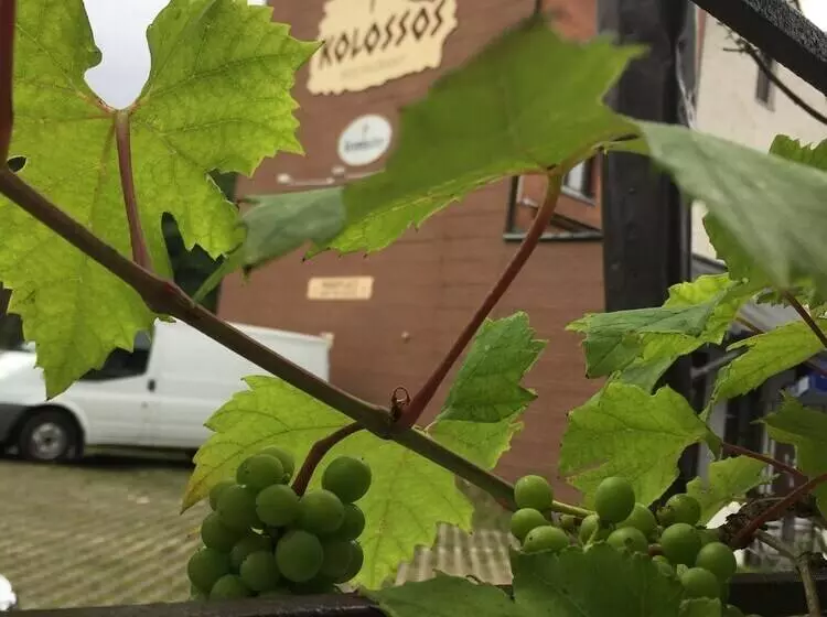 酒店 Kolossos Düsseldorf   Neuss