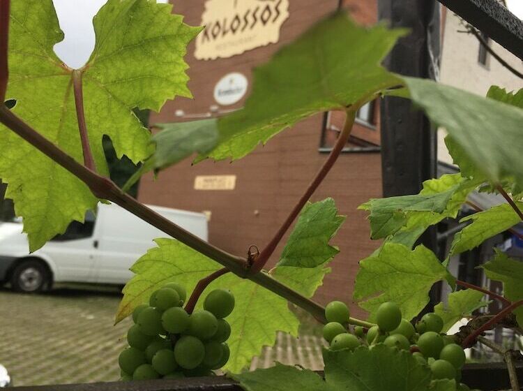 בית מלון כפרי Kolossos Düsseldorf   Neuss