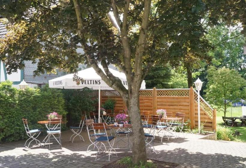 호텔 Landgasthof Zum Adler