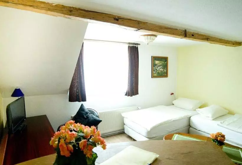 Hotel Pension Am Alten Markt